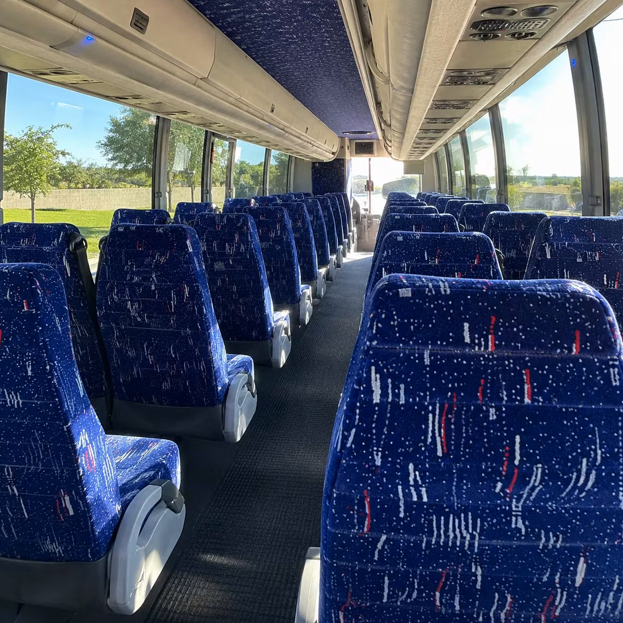 charter bus rentals for memphis zoo field trips and natural science excursions