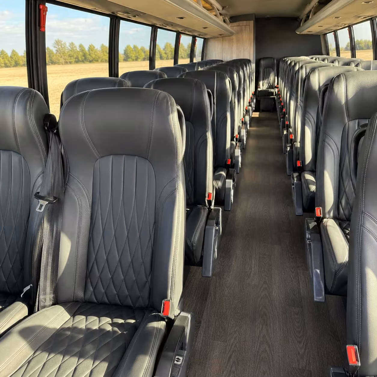 memphis 15 passenger minibus rental